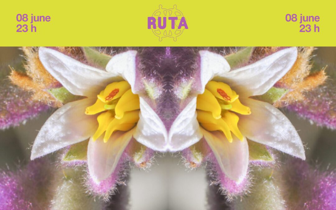 RUTA