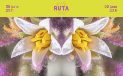 RUTA