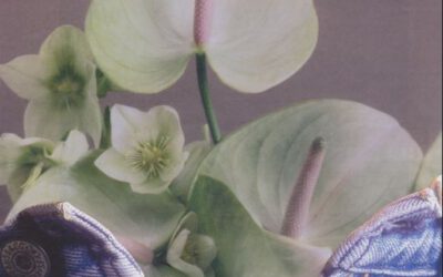 Verschoben: Körper-Collagen | Collagen-Körper